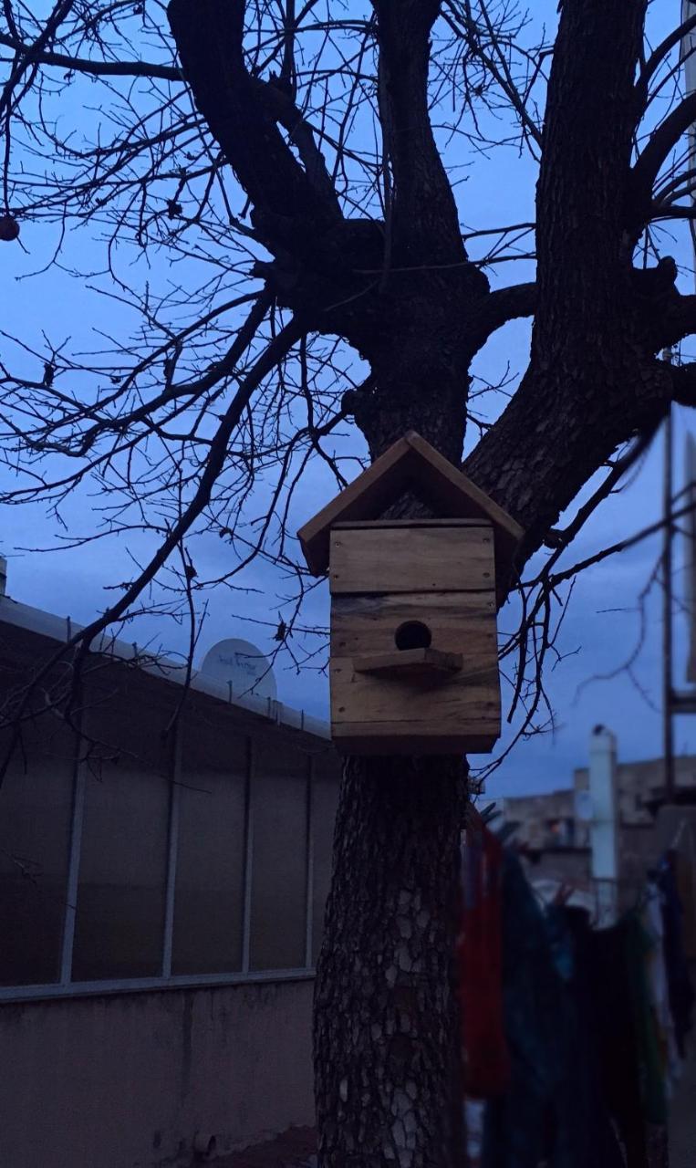 Birdhouse Rooms Tbilisi Eksteriør billede